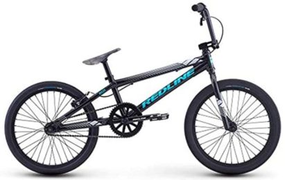 Is A 20 inch BMX Bike for Adults