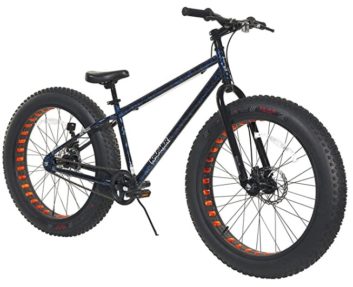 best bmx for big guys