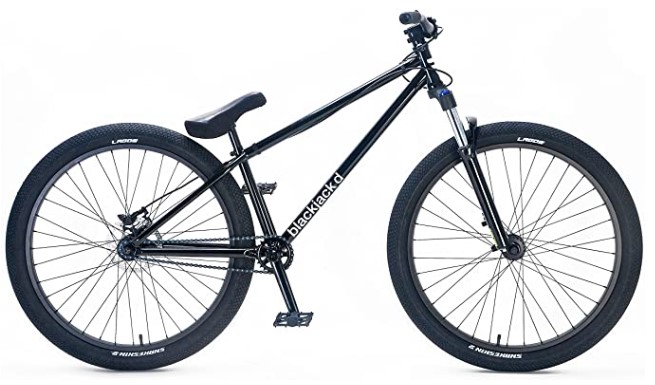 bmx bikes for bigger guys